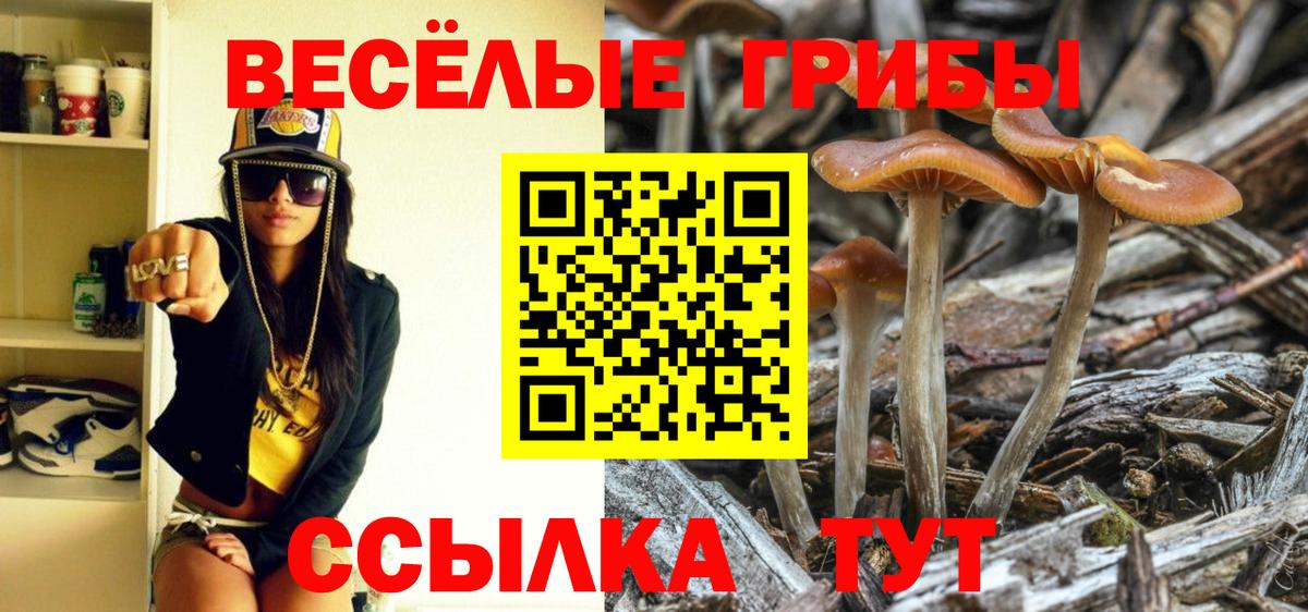 Галлюциногенные грибы прущие грибы  Вход с VPN  Саранск 